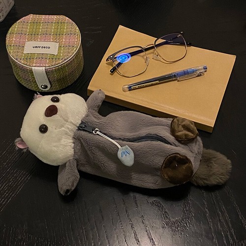 Plush Sea Otter Pencil Case Portable Pen Marker Holder School Supplies Pen B _in - Picture 9 of 9
