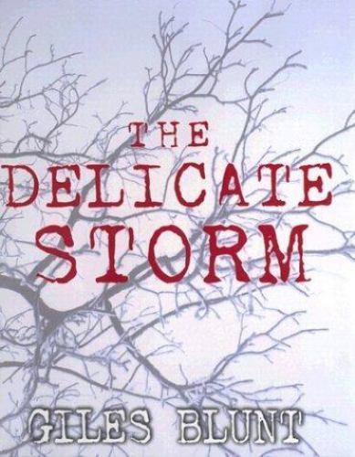 The Delicate Storm von Giles Blunt - Bild 1 von 1