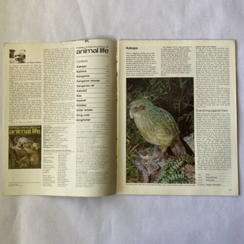 Purnell’s Encyclopedia Of Animal Life Magazine Volume 3 Number 12 - Picture 3 of 7