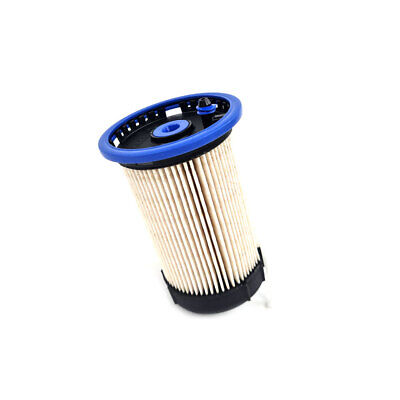 51R6TtwemTL._AC_UF1000,