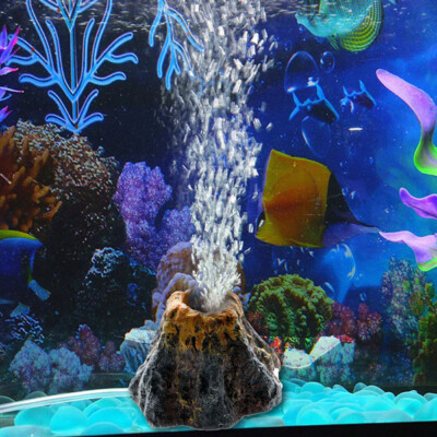 aquarium volcano