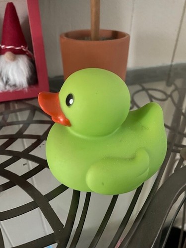 Rubber Ducky Floating Squeaky Duck Green Infantino Fun Time~L@@K!!!! - Picture 2 of 3