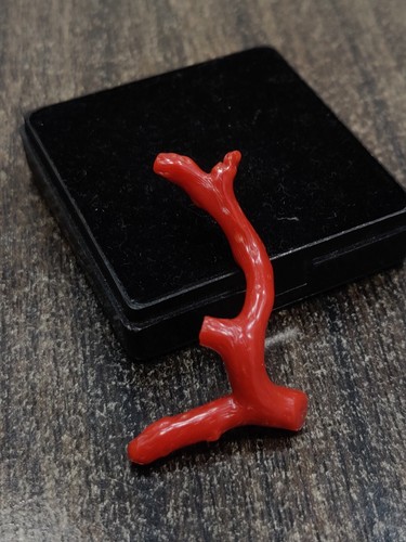 Natural Red Coral Gemstone Branch-Mediterranean Undyed Red Coral Rough Reef - Picture 4 of 8
