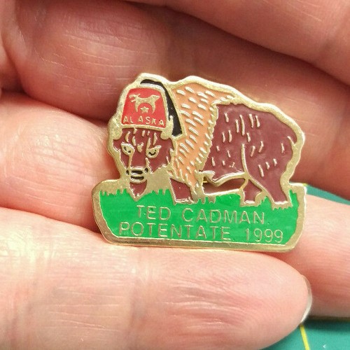 Spilla Santuario - Al Aska 1999 AL-ASKA Bisonte con cappello Fez Spilla da bavero massonica Bufalo - Foto 1 di 3