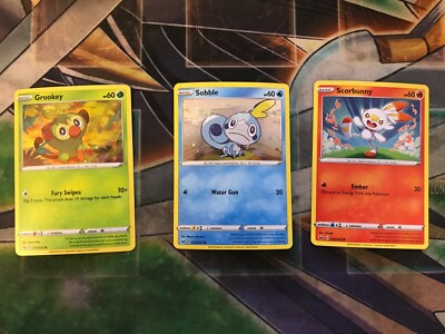 Grookey & Scorbunny ヒバニー　サルノコ　フットサル　プロモ ヒバニー 海外版 英語版 フットサル プロモ Scorbunny On The