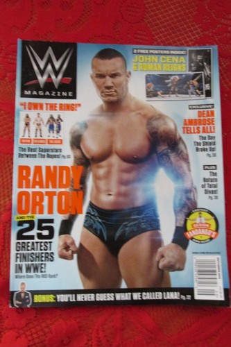 WWE MAGAZINE~Sept & OCT. 2014 -UNDERTAKER, Roman & Cena POSTER~LAST ISSUEs EVER - Picture 2 of 8