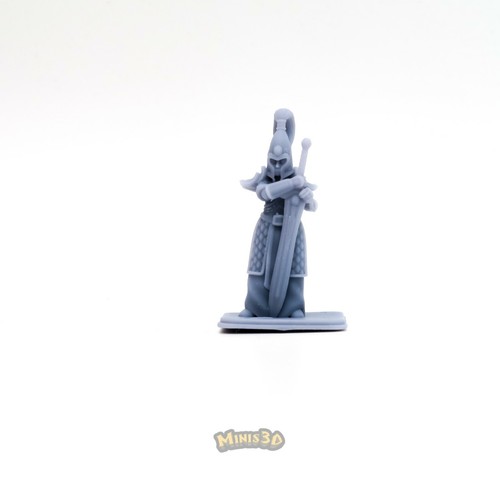 High Elf Female - HQ - Minis3D - Imagen 14 de 22