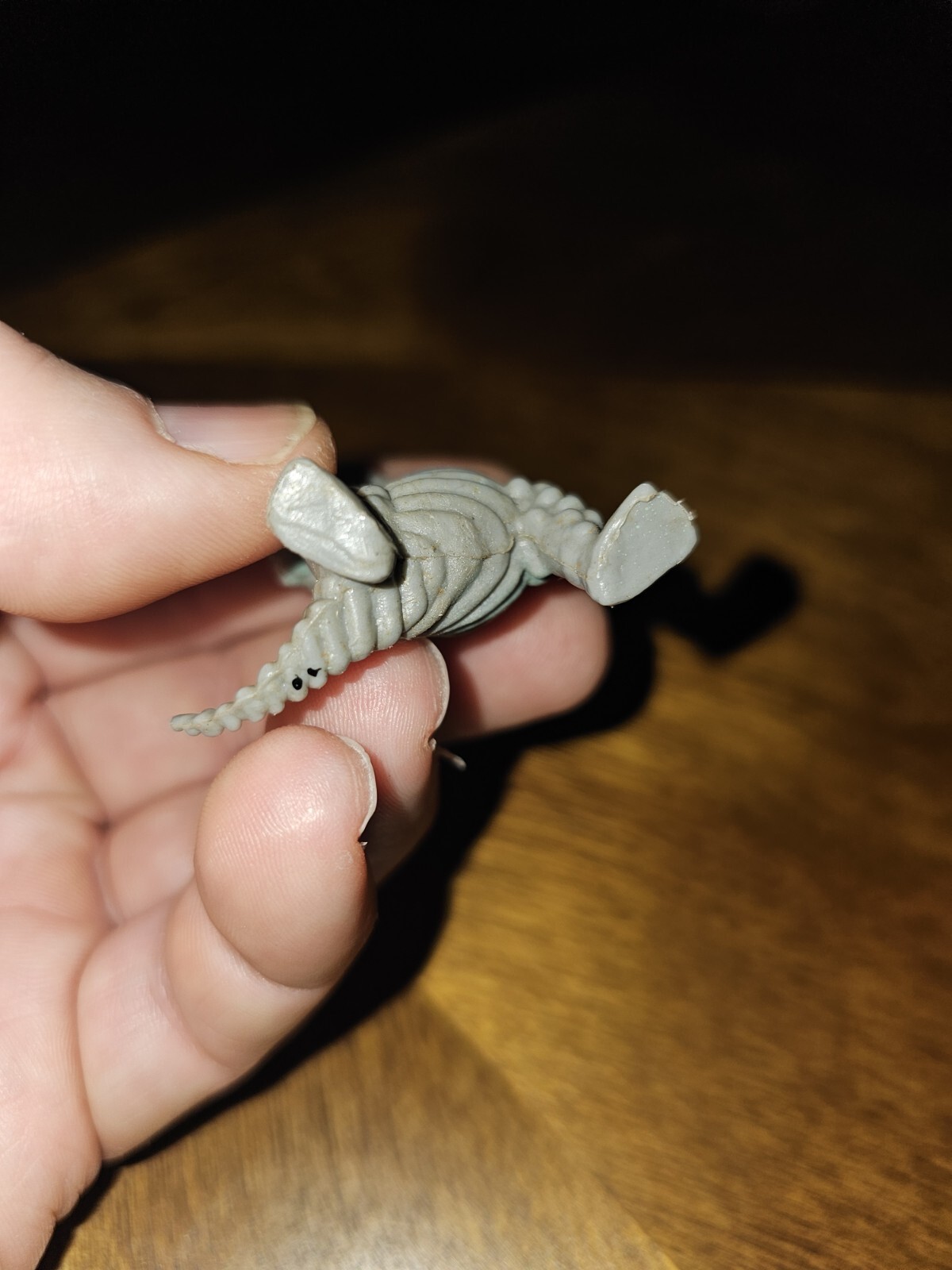 Picture 6 of 6