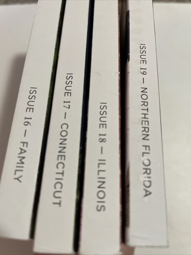 Craft Quilting Quilt Folk Quiltfolk Magazine Lot (4) Issue 16 17 18 19 - Imagen 7 de 7