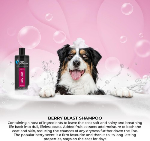 Groom Professional Berry Blast Dog Shampoo - Shampoo for Dry Itchy Skin - Deep - Picture 4 of 4