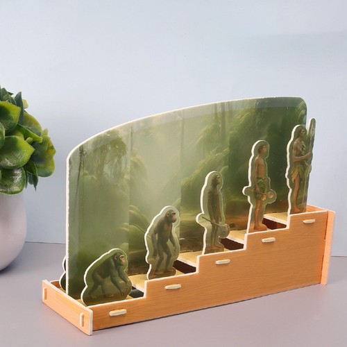 Human History Puzzle Toy Stem Toy Science Craft for Children Kids - Bild 1 von 6
