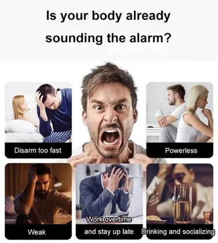 Ginseng Six Treasure Tee, Nierentee, Lebertee, roter Datteltee, Nierengesundheit - Bild 6 von 15