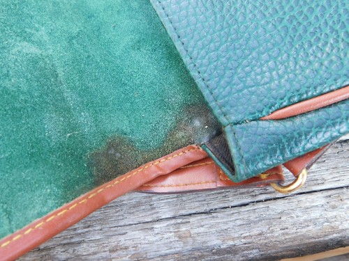 6" Dooney & Bourke Green Leather Crossbody Bag Purse with a 46" Strap - Picture 4 of 5