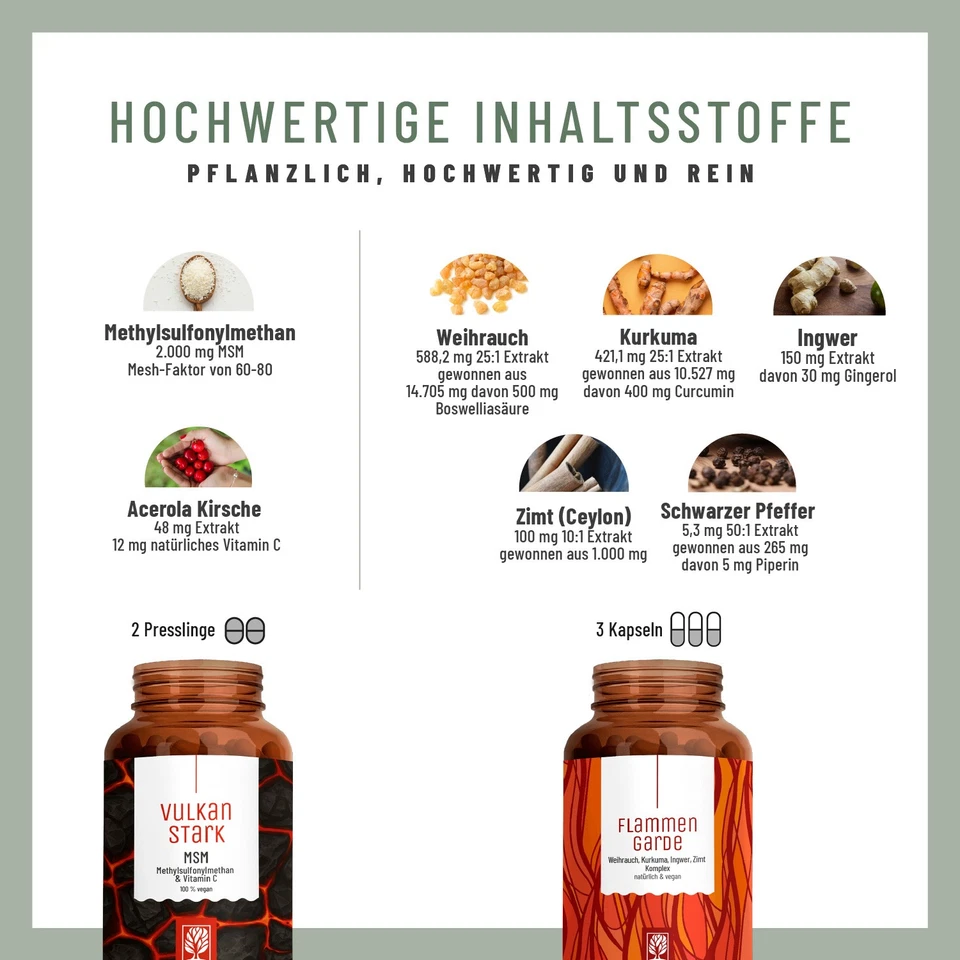 MSM Kurkuma Weihrauch Vorteilspaket Vitamin C Ingwer Zimt Bundle NATURTREU® - Bild 2 von 4