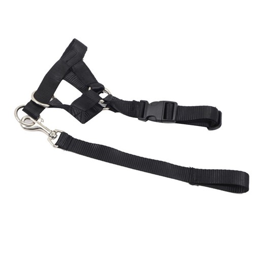 Dog Mouth Muzzle With Towing Rope AdjuDog Head Collar Halter Prevent From Hot. - Picture 7 of 14