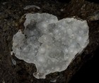 Foto 12 di 15