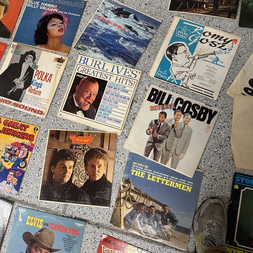 Huge Vinyl Lot Over 65 Albums 50s-70s Elvis, Martin Denny, Enoch Light - Foto 22 di 24