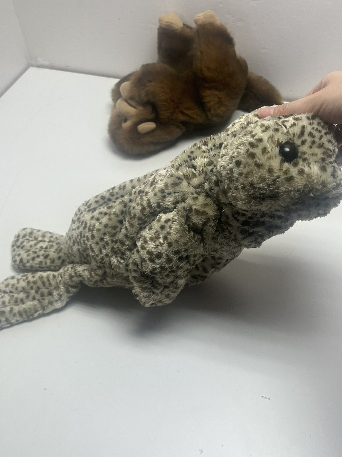 Picture 3 of 7