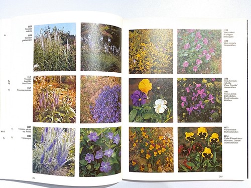 Hay, Synge, Herklotz, Menzel, Gartenblumen - Bild 7 von 12