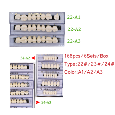 168 Denti Falsi Dentali Dentali In Resina Acrilica, 23 Tonalità - Foto 13