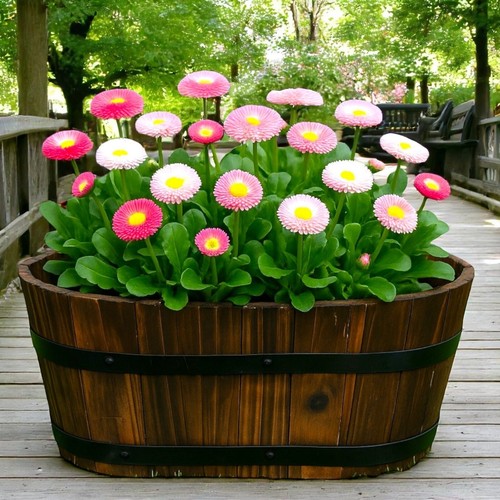 Fioriera rustica a botte 32 cm - vaso fiori effetto legno naturale giardino deco - Foto 18 di 20