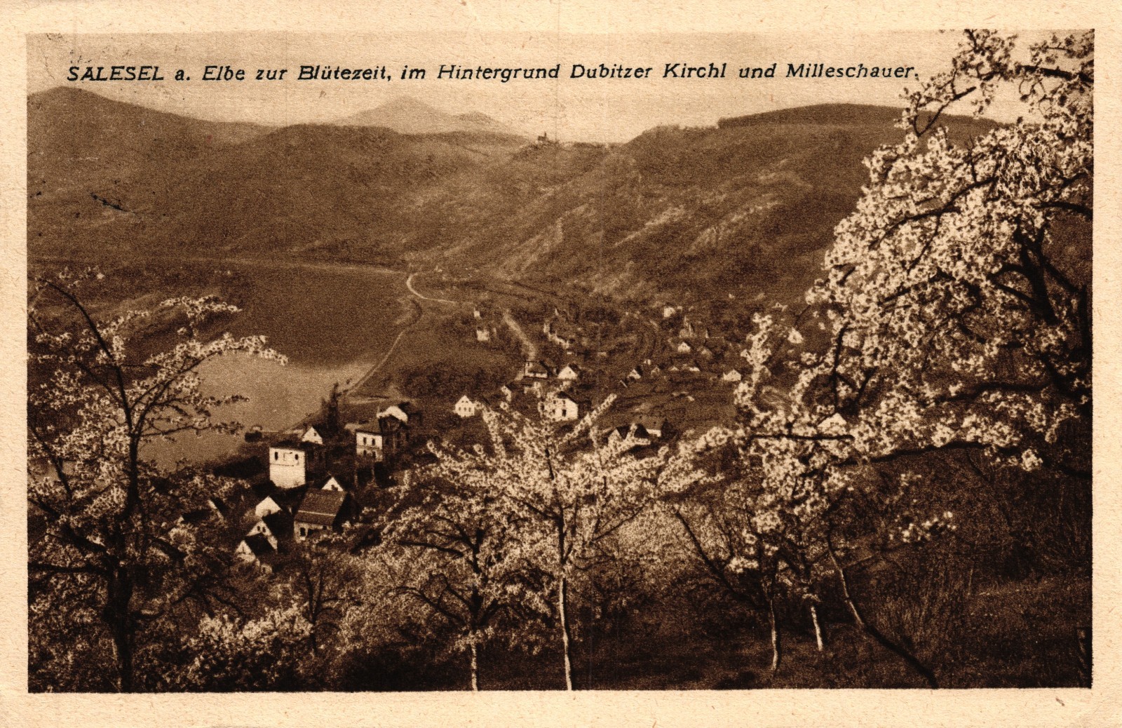 Bild 1 von 2