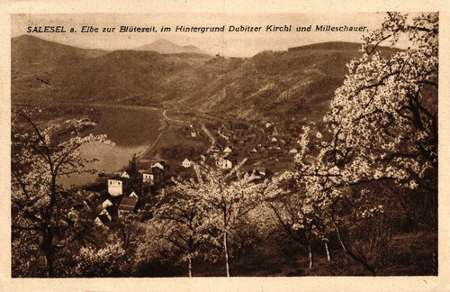 Salesel a.d. Elbe, im Hintergrund Dubitzer Kirchl und Milleschauer, 1928