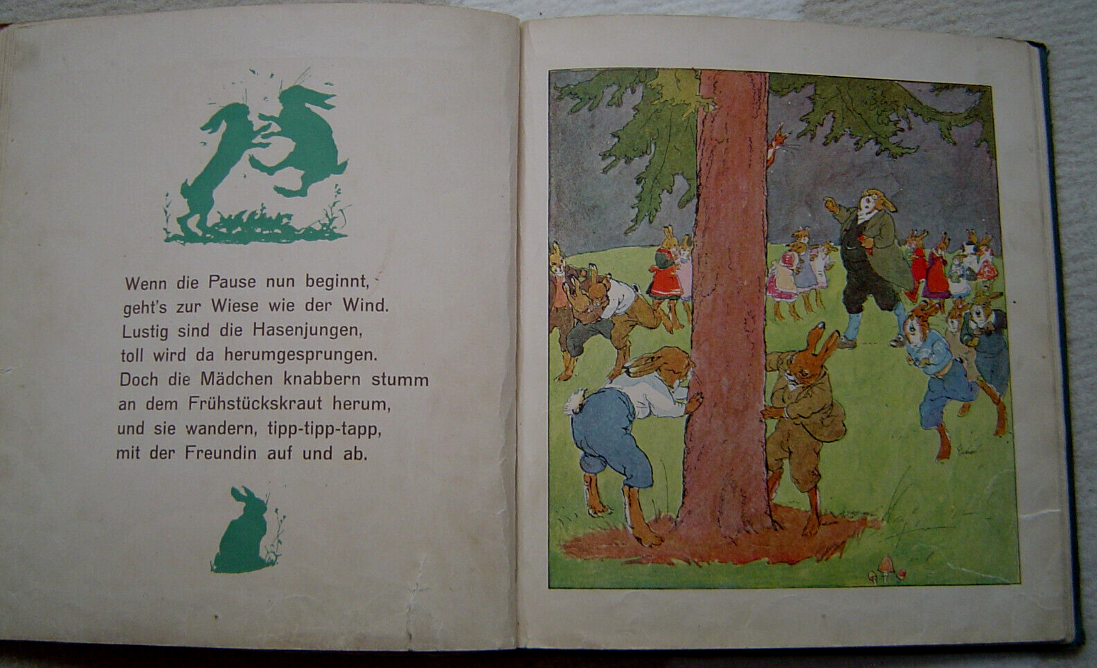 Bild 3 von 5