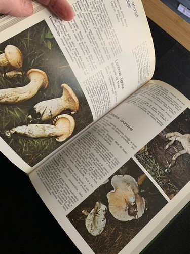 libro: "i nostri funghi" - Foto 2 di 3