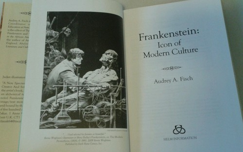 Frankenstein: Icon of Modern Culture series Audrey A fisch Helm Like New - Picture 7 of 12