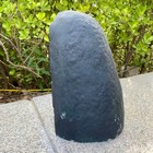 Bild 7 von 12