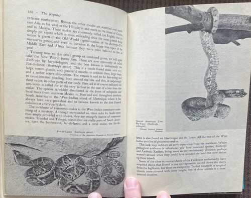 1964 1st Ed. Caras DANGEROUS TO MAN Wild Animals HB/433pp/Illustrated - Picture 7 of 12