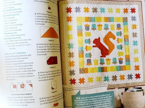 Quilts For Autumn By ANNIE'S 11 Fall Seasonal Projects - Picture 8 of 8