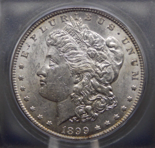 1899 "P" Morgan SILVER Dollar $1 ICG MS60 #401 Unc Uncirculated ECC&C, Inc.