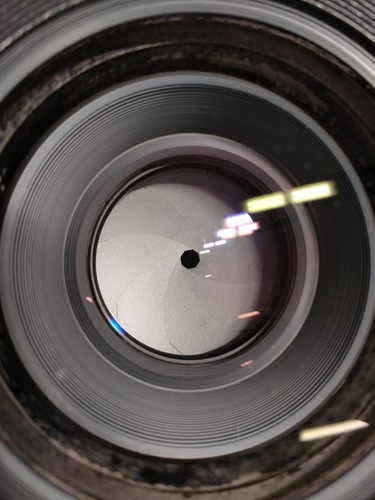 CLA'd **Exc+5** Mamiya Sekor C 90mm f/3.8 MF Standard Lens For RB67 Pro S SD JPN - Picture 9 of 10