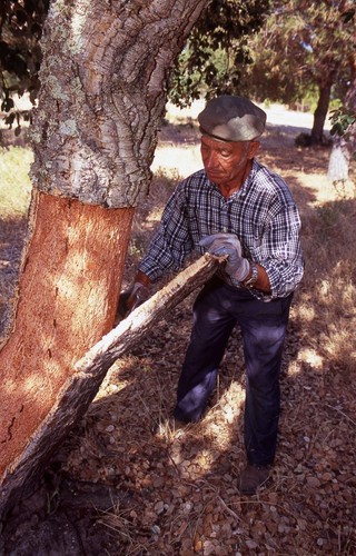 Cork Medium Compact Wallet Handmade Eco-Friendly & Sustainable Material EcoQuote - Picture 5 of 9