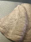 Picture 10 of 11