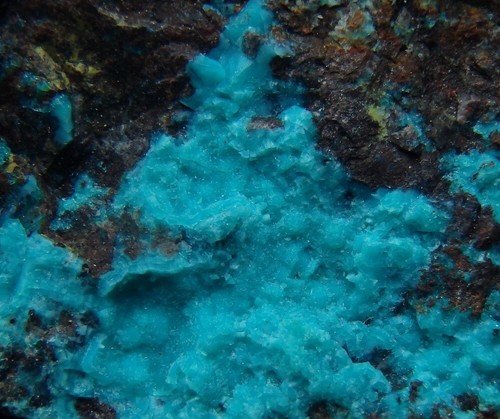 CHRYSOCOLLA intensive colour ! USA New Mexico - Grant County Tyrone Mine /pj813 - Picture 6 of 8