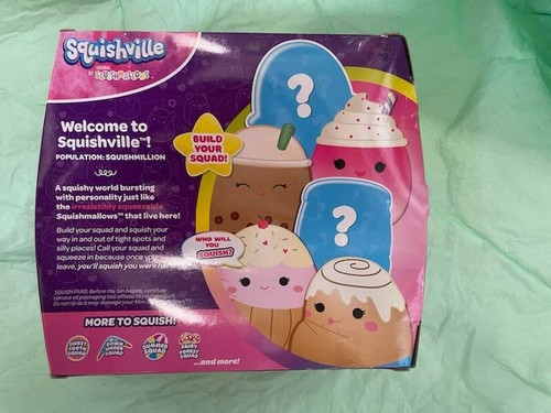 Squishville Mini Squishmallows 6-Pack SWEET TOOTH Squad Bernice Carmelita Chanel - Picture 2 of 2