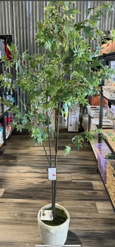 6 Ft. Artificial Faux Maple Tree -Threshold designed w Studio McGee- New in Box