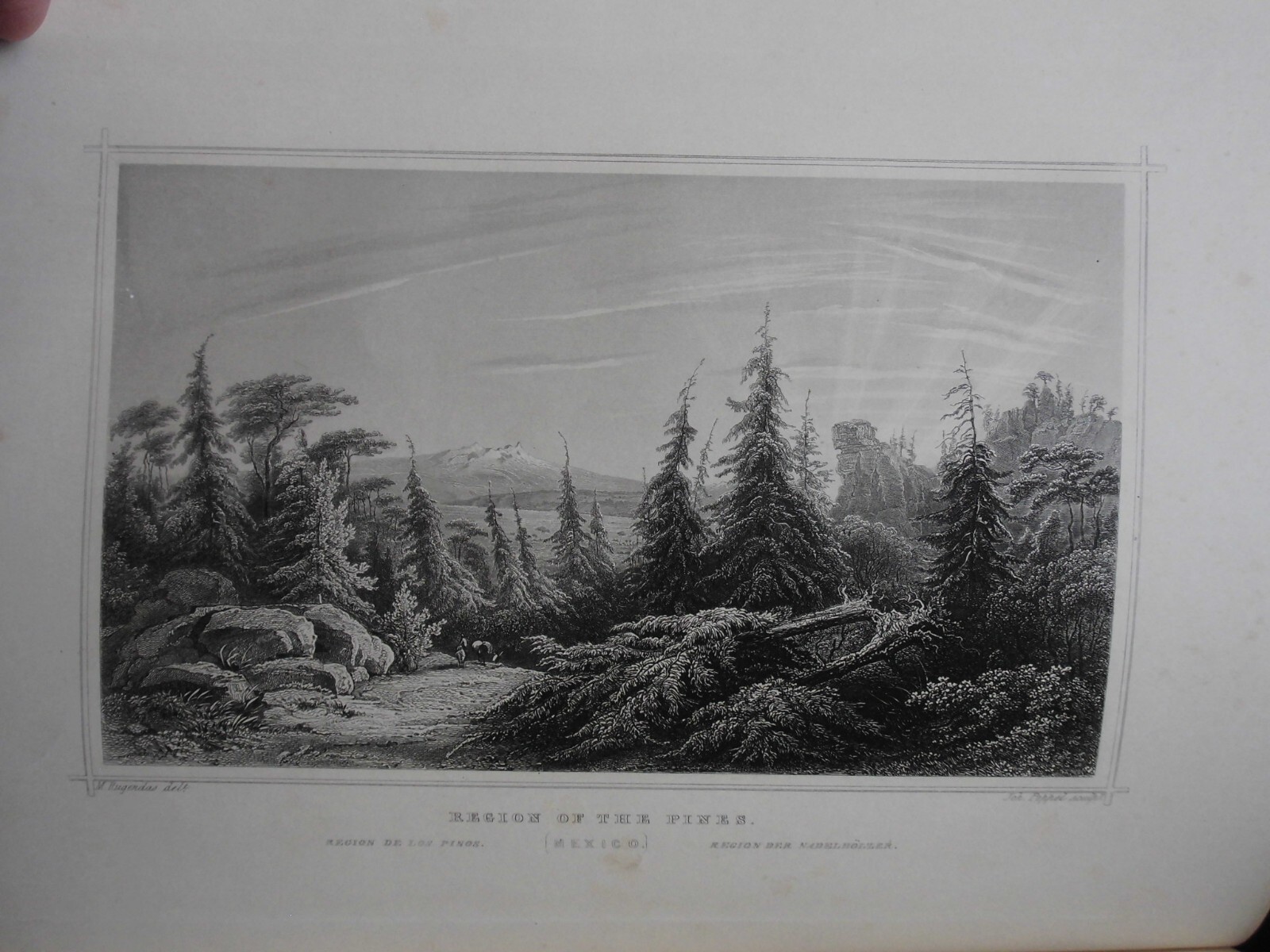 Picture 10 of 24