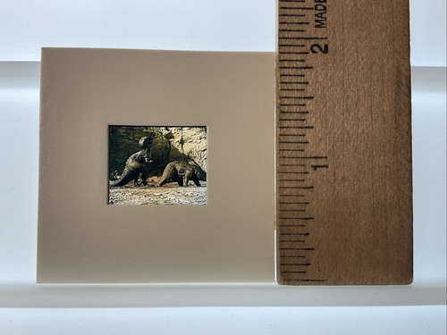 1969 The Valley Of Gwangi, Original Film Still Transparency Slide  - Picture 3 of 3