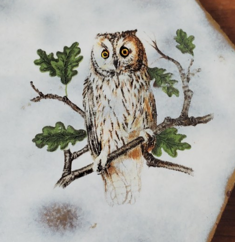 Vintage AO Hexagon Ceramic Tile With Owl Pattern - Picture 5 of 12