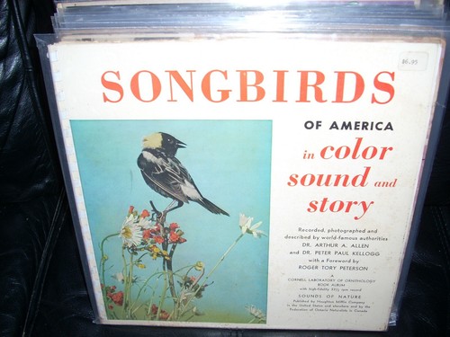 SONGBIRDS of america in color sound & story ( sound ) 10" booklet