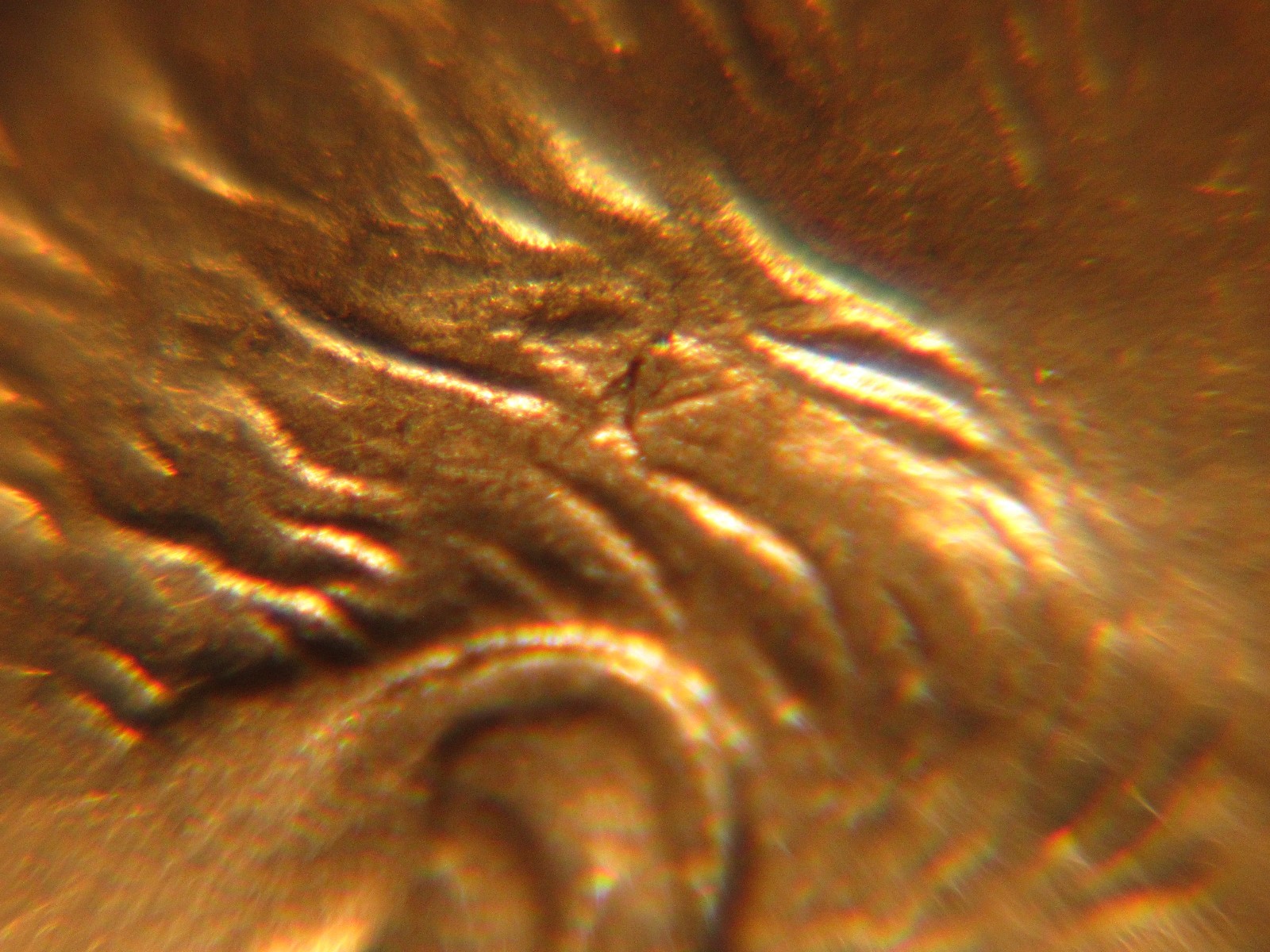 Picture 6 of 11