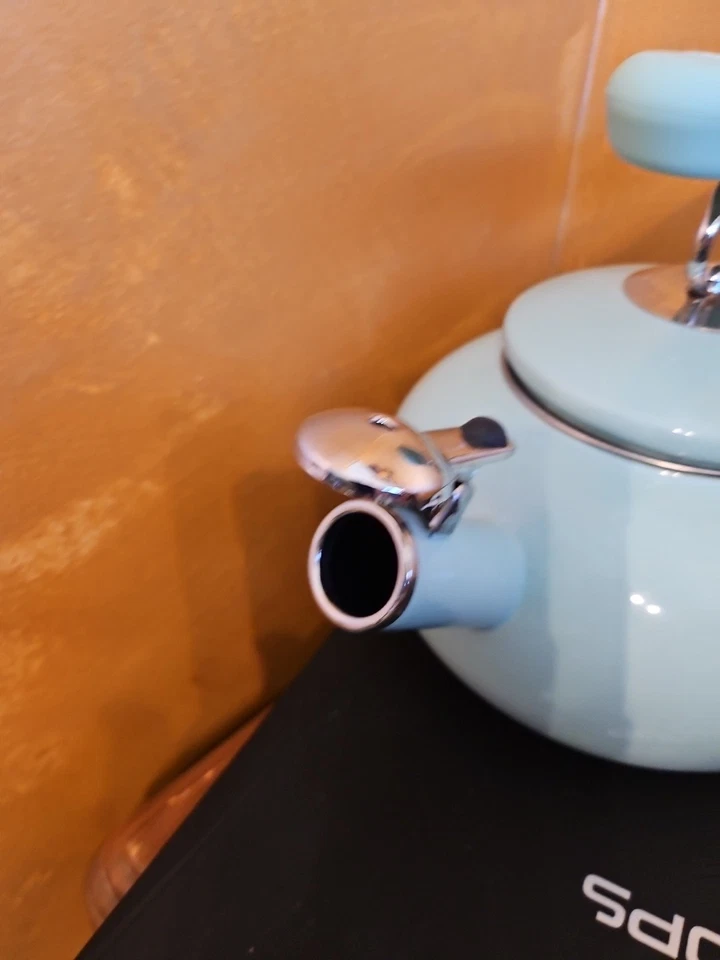 Teapot Enamel Over Steel, Mint Outside, Dark Blue Inside Martha Stewart - Image 3 of 4