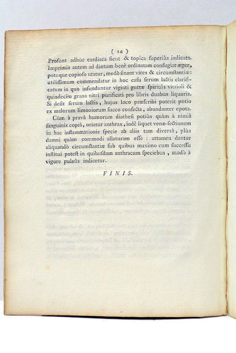 Foto 7 di 7