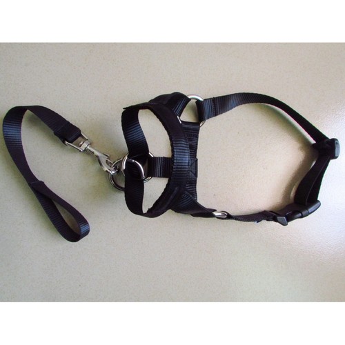 Dog Mouth Muzzle With Towing Rope AdjuDog Head Collar Halter Prevent From Hot. - Picture 10 of 14