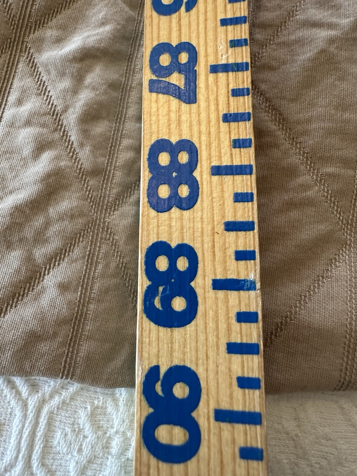 Picture 7 of 24