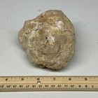 Foto 11 di 11
